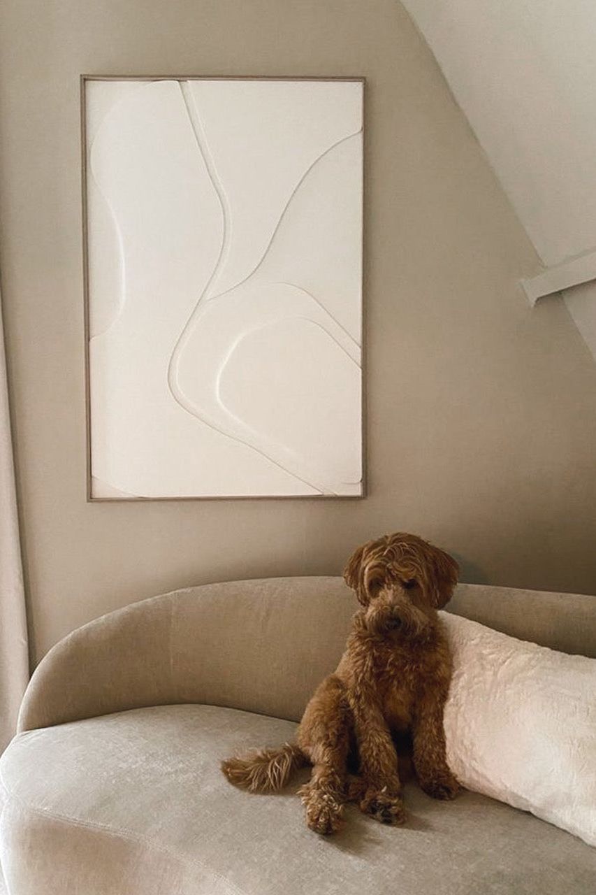 Noé & Noah combination